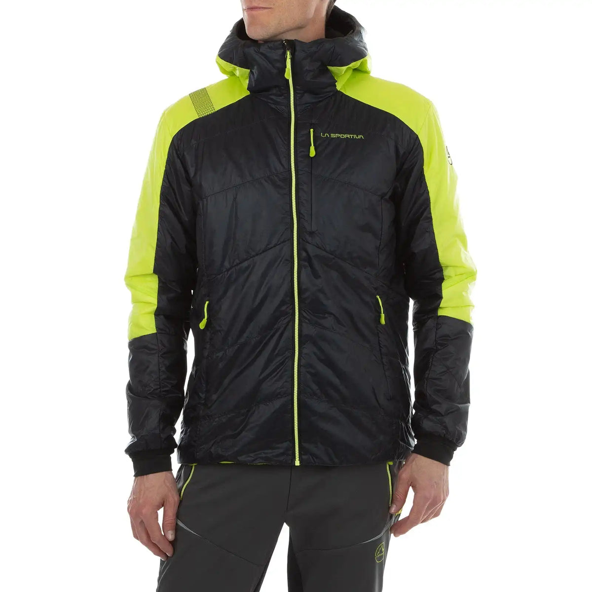 Alpine Guide Primaloft Hoody Men's (2024)